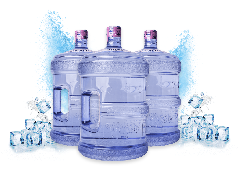 سياسة الإرجاع و الاستبدال